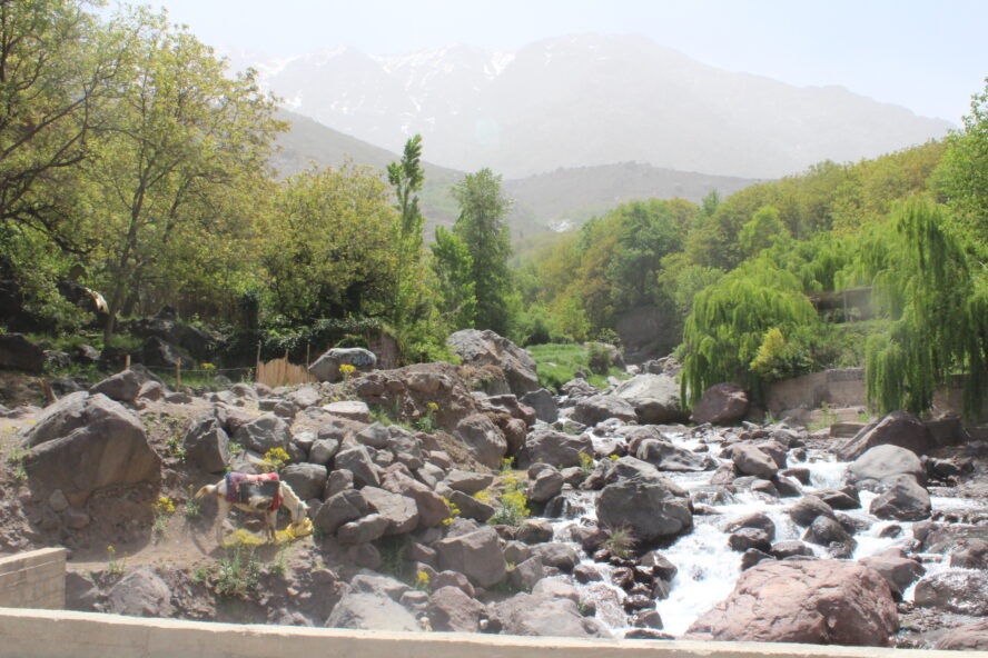 Atlas Mountains