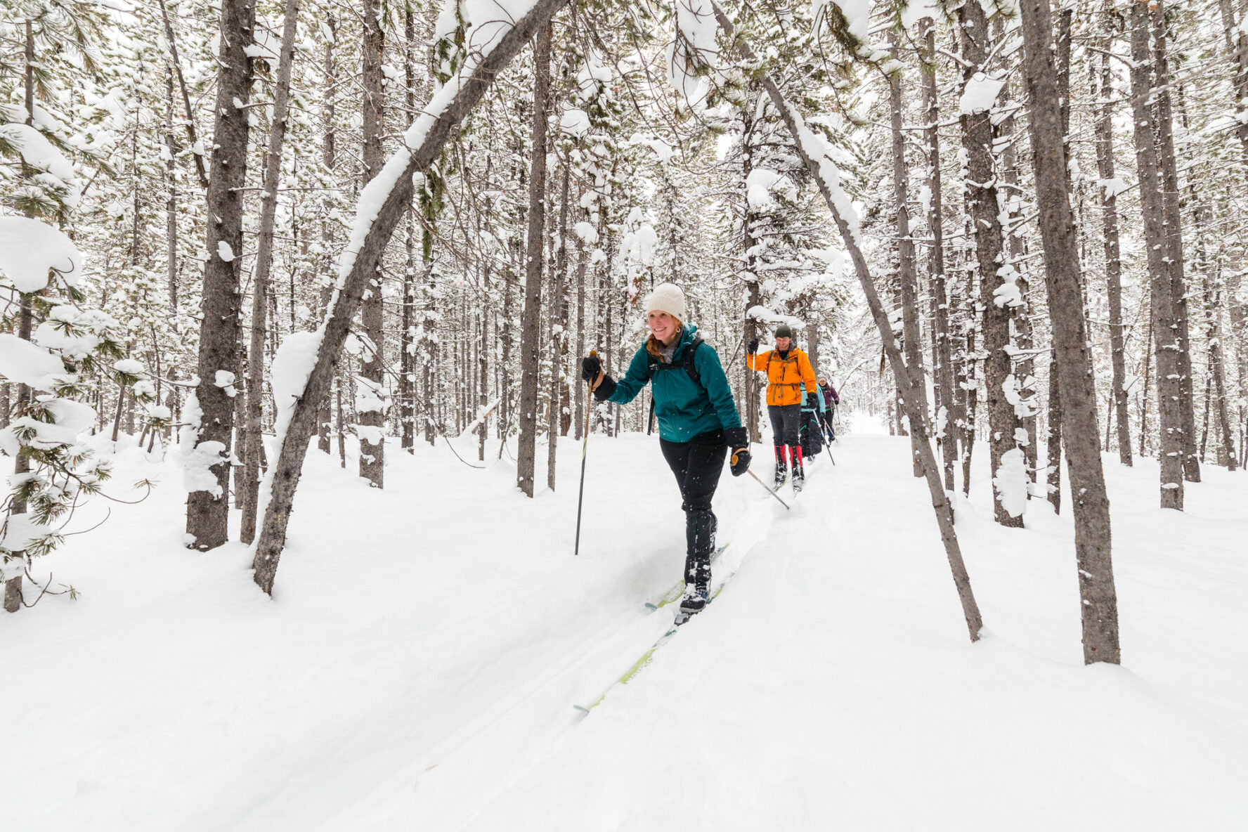 A Yellowstone guide showing the way through the woods before reaching the slopes