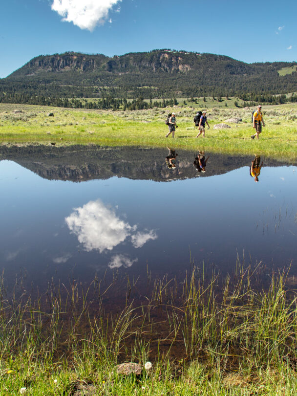 Yellowstone backpacking 1