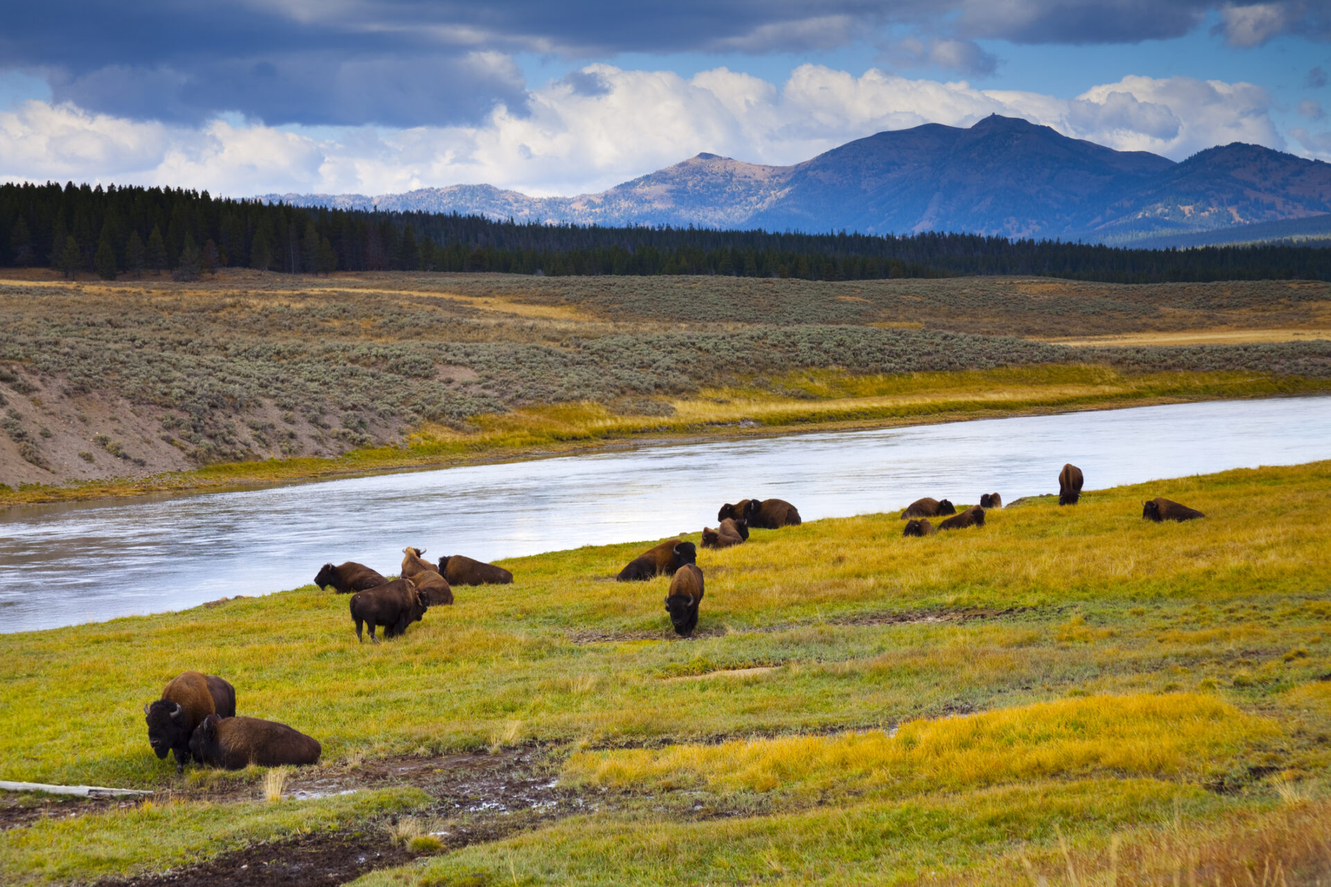 Yellowstone backpacking 1