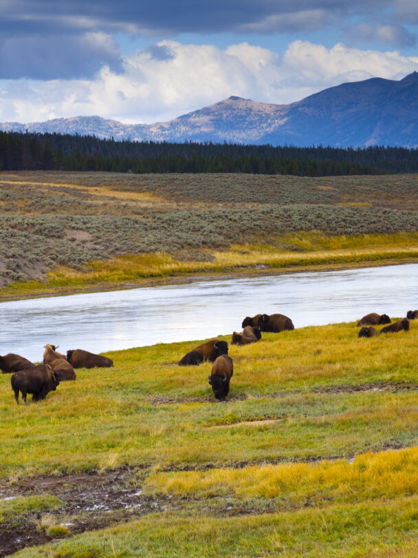 Yellowstone backpacking 1