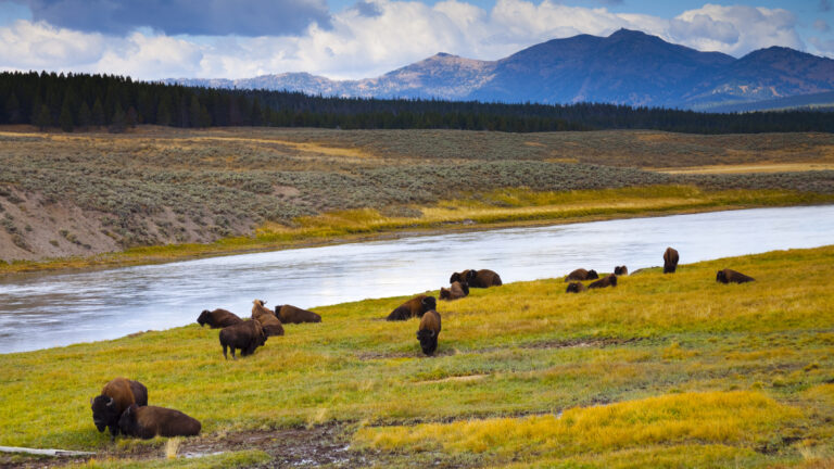 Yellowstone backpacking 1