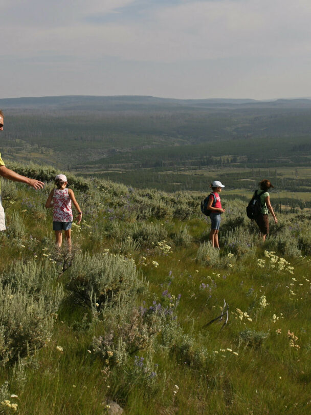 Yellowstone backpacking 1