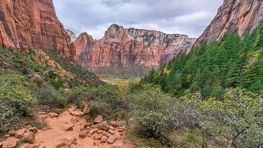 A scenic overlook in Zion Canyon