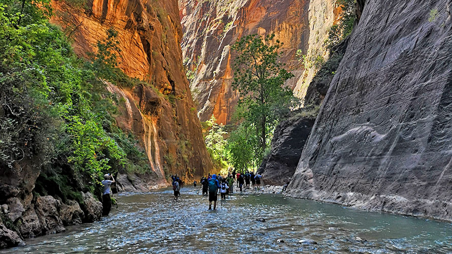 Hikers trudging through Virgin River in Zion National Park