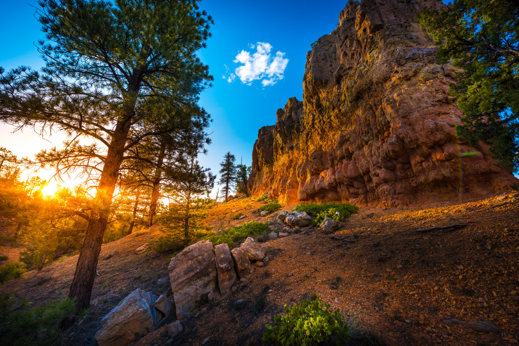 Bryce Canyon mountain biking