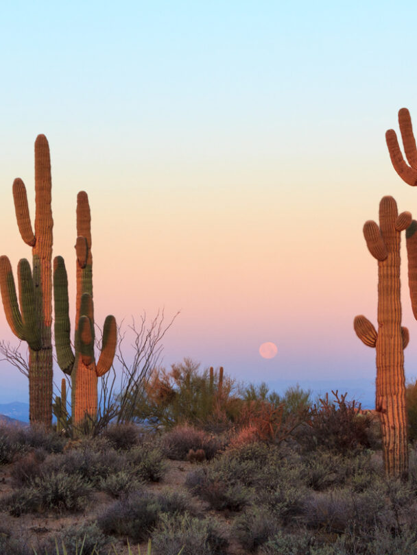 Hiking Grand Canyon Rim to Rim with a Guide