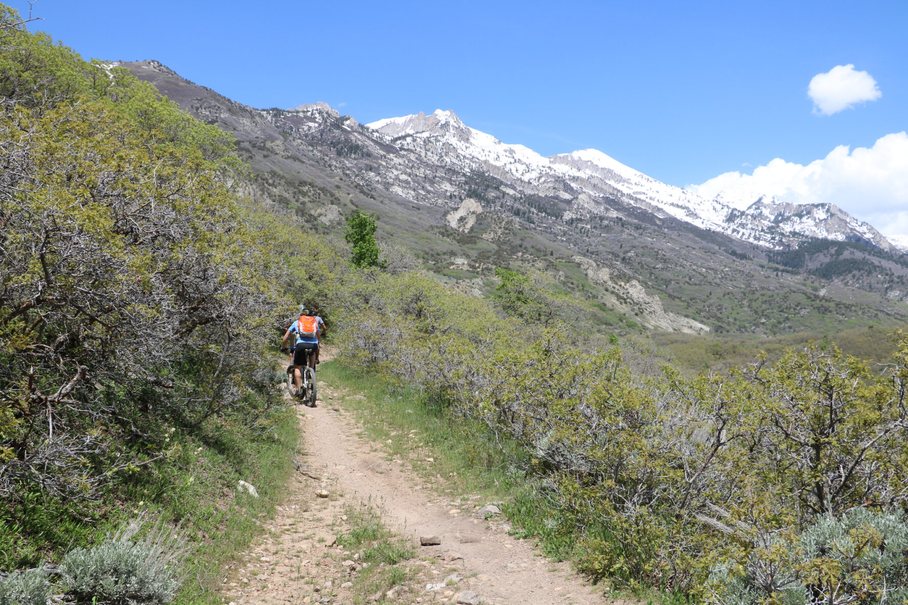 Salt Lake City mountain biking