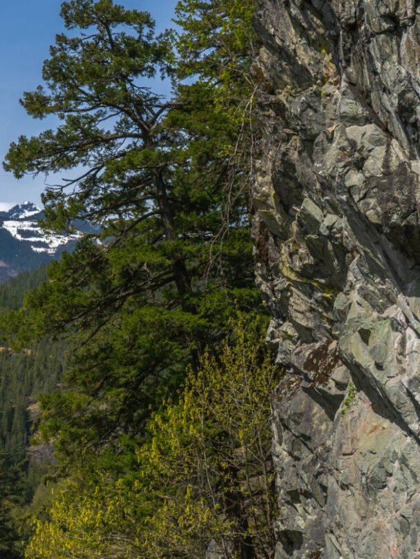 Rock Climbing in Squamish