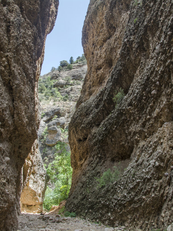 Maple Canyon rock climbing