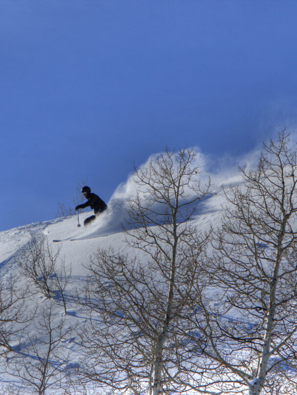 Wasatch backcountry skiing