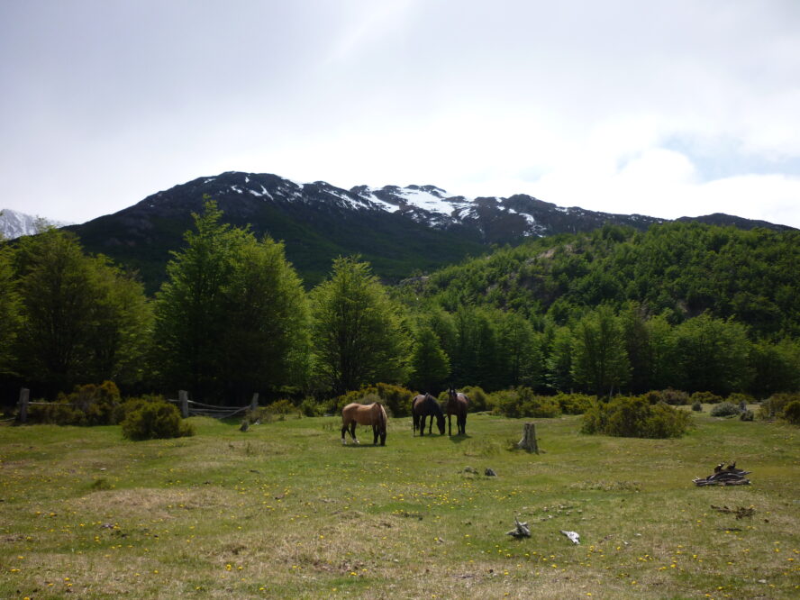 Fitz Roy hiking