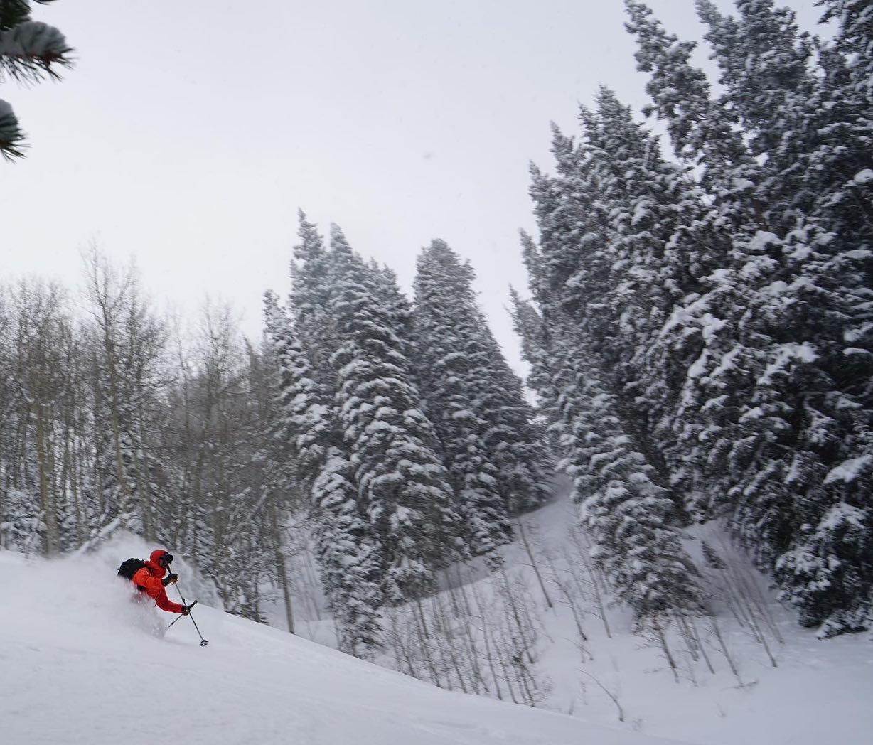 Skiing through trellises