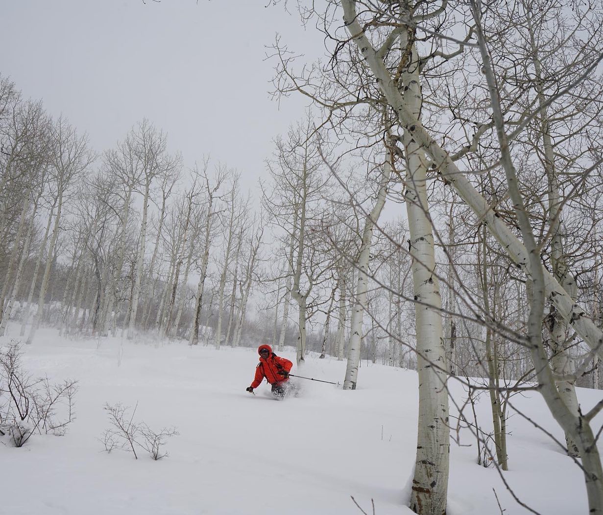 A skier enjoying the snowy slopes and trellises