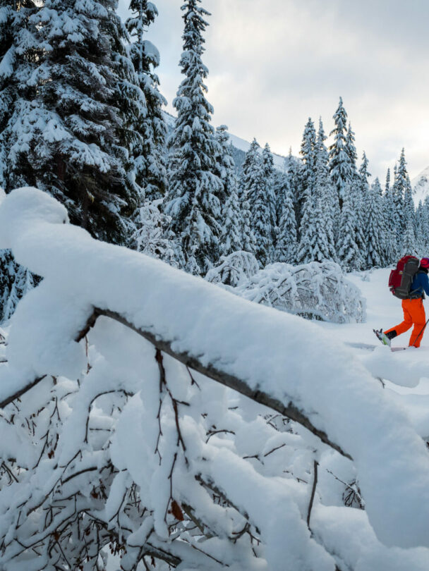 Backcountry Skiing in Whistler