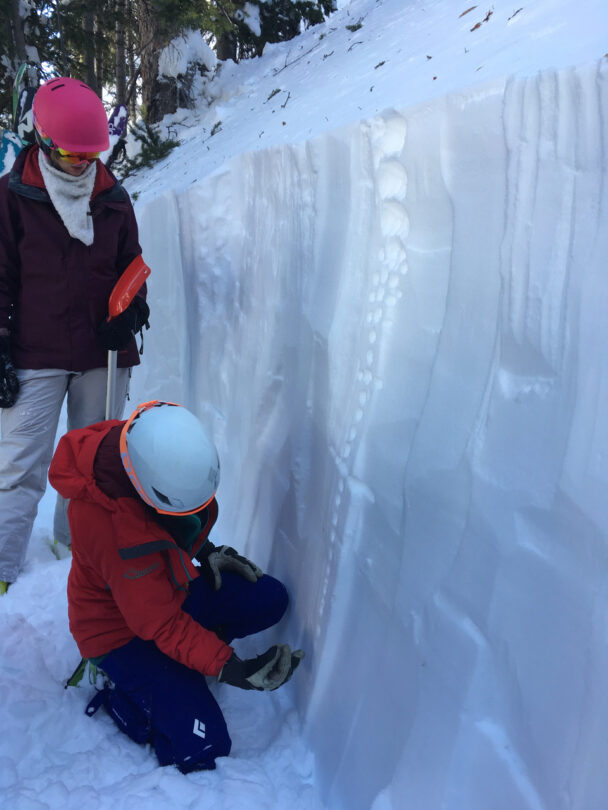 AAI Hybrid Avalanche Level 1 Course in Wasatch Mountains