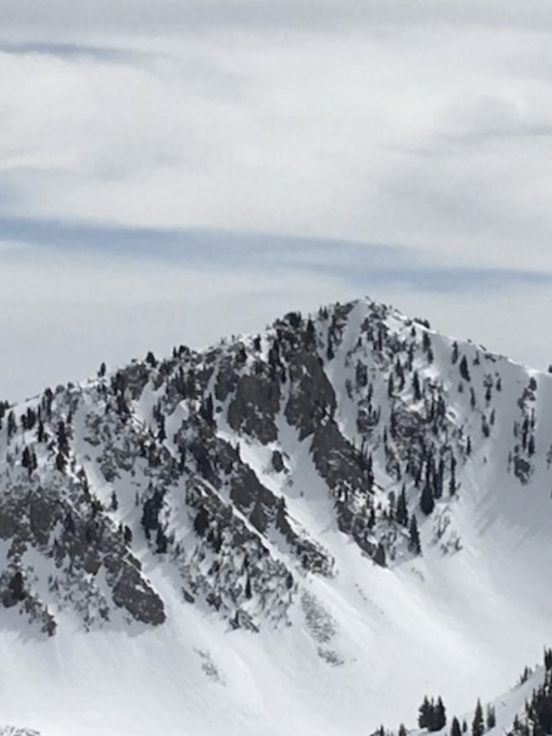 AAI Hybrid Avalanche Level 1 Course in Wasatch Mountains
