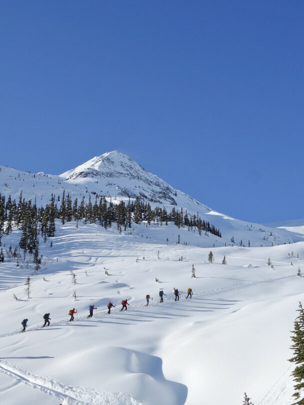Burnie Glacier Chalet Backcountry Skiing