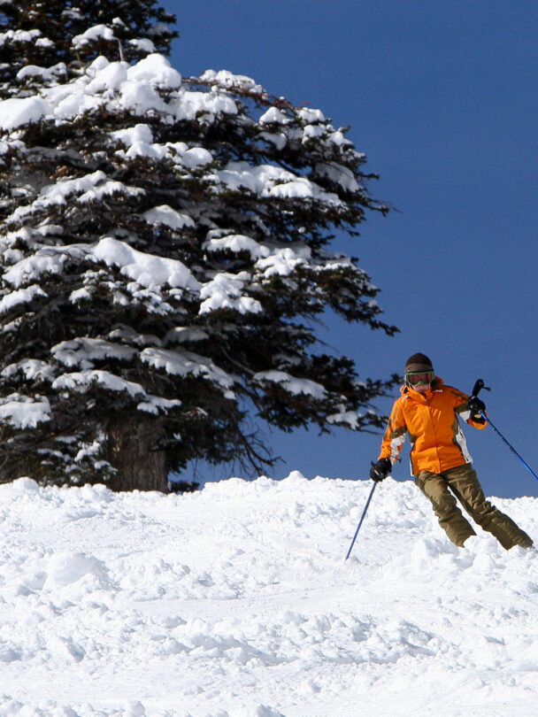 Cottonwood Canyons backcountry skiing