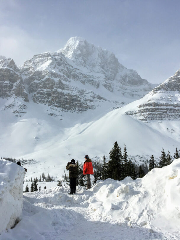 Icefields Parkway backcountry skiing