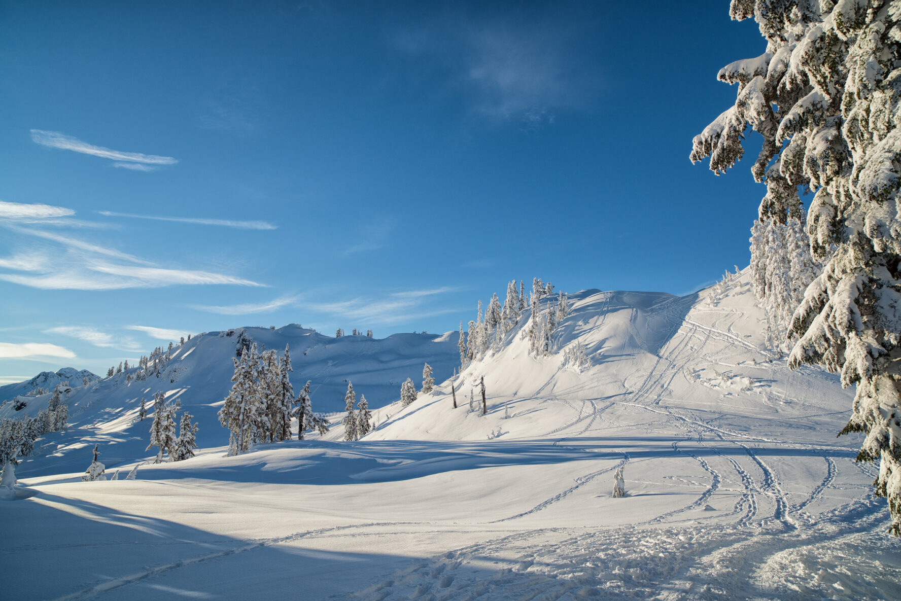 Mount Baker Ski Mountaineering