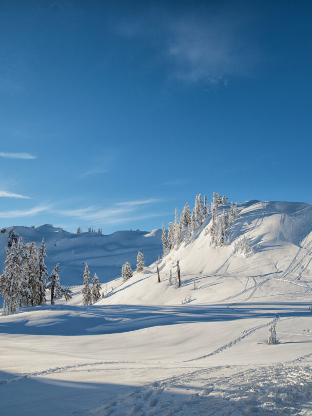 Mount Baker Ski Mountaineering