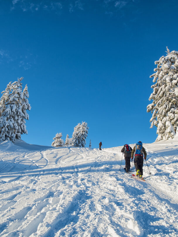 Mount Baker Ski Mountaineering