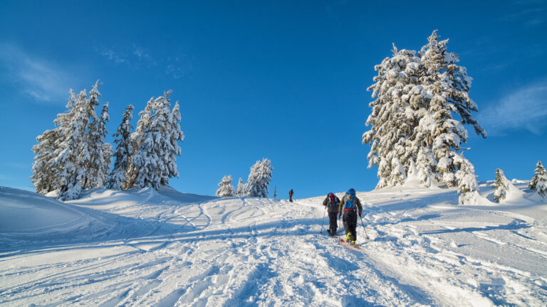 Mount Baker Ski Mountaineering