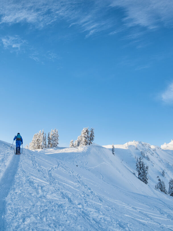 Mount Baker Ski Mountaineering