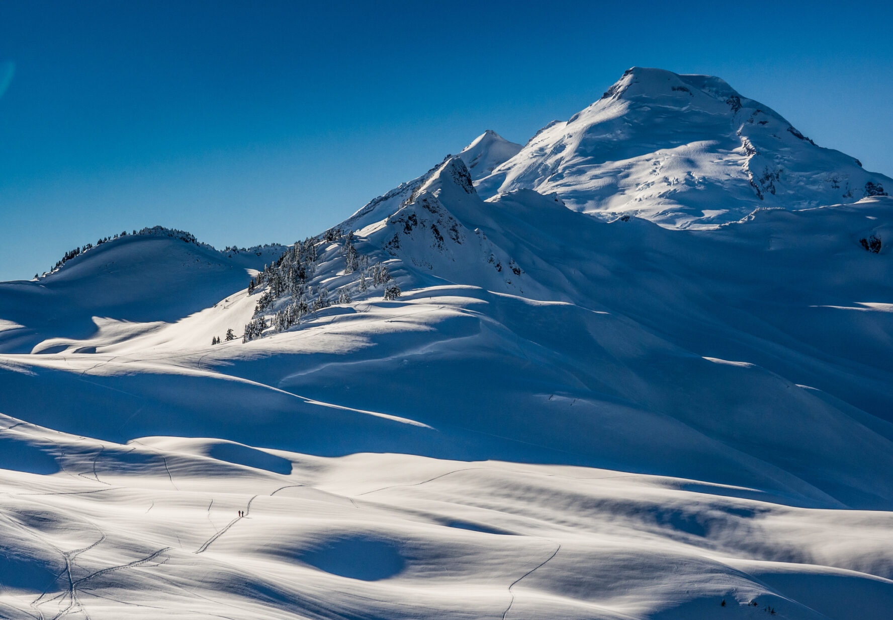 Mount Baker Ski Mountaineering