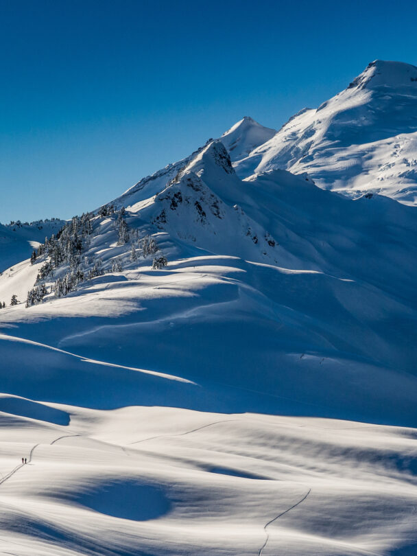 Mount Baker Ski Mountaineering