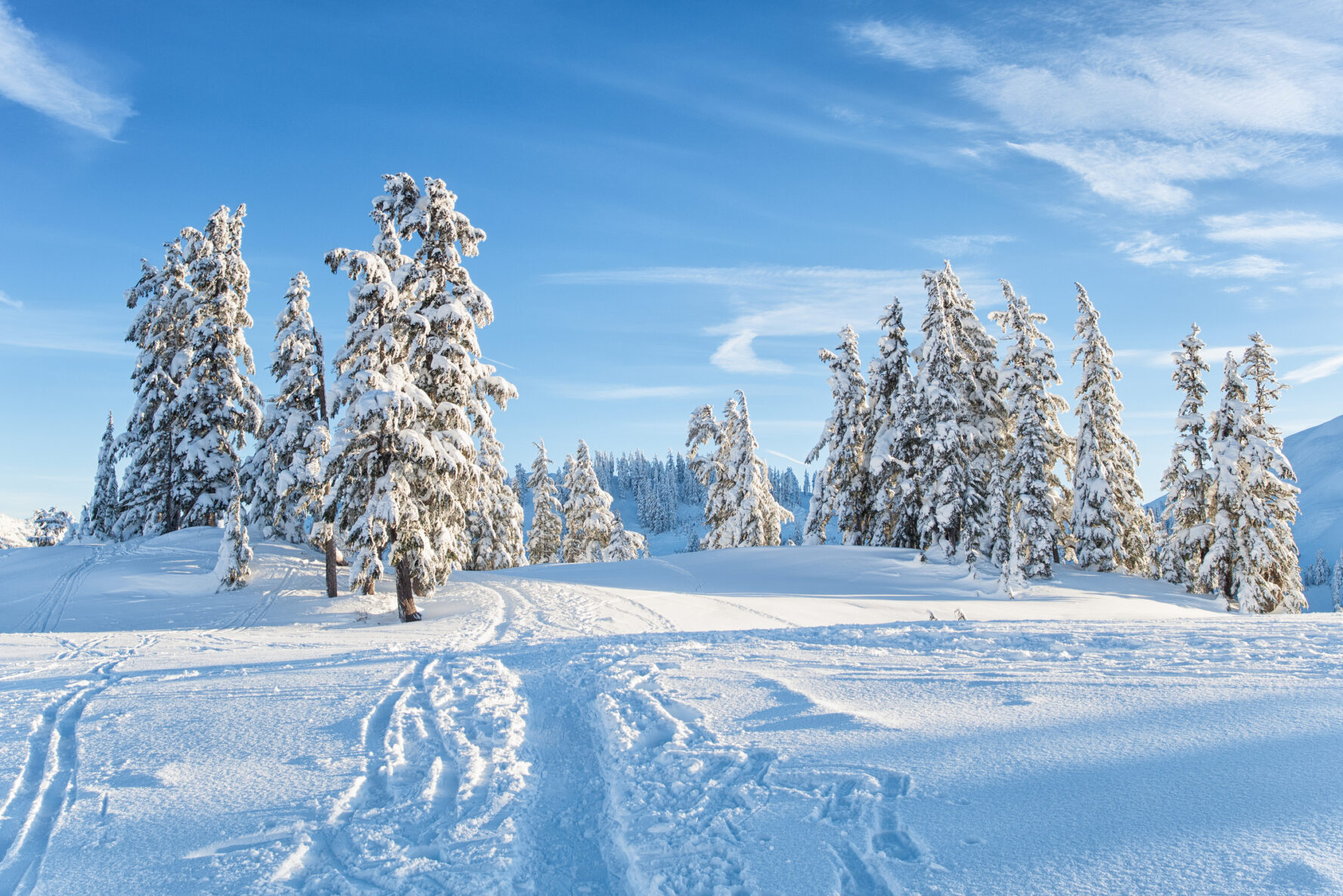 Mount Baker Ski Mountaineering