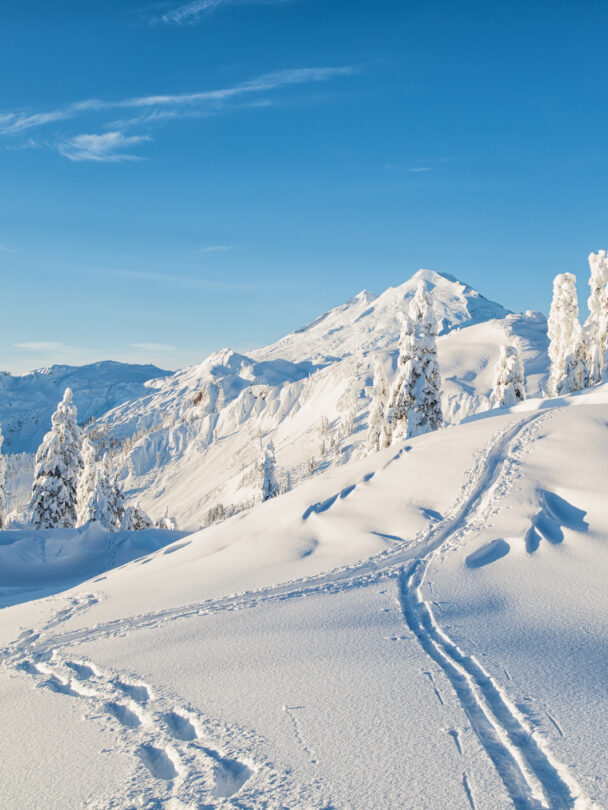 Mount Baker Ski Mountaineering