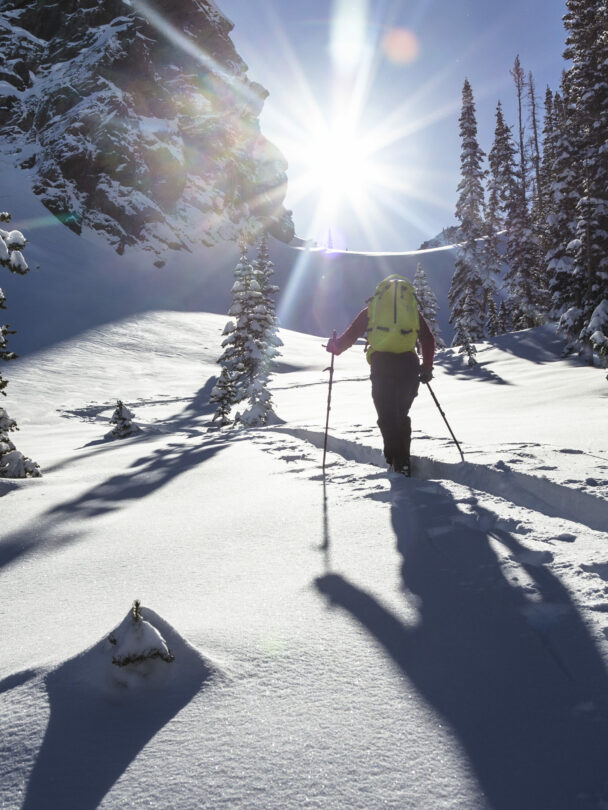 Mount Superior Backcountry Skiing