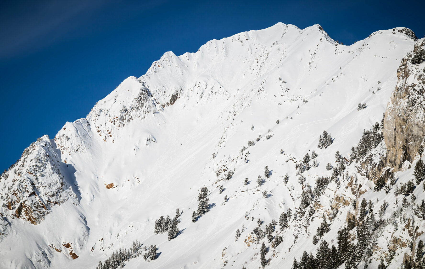 Mount Superior Backcountry Skiing