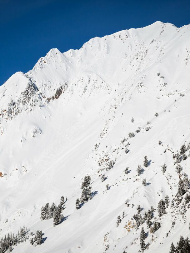 Mount Superior Backcountry Skiing