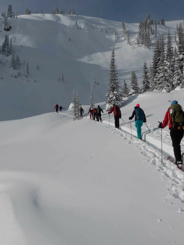 Selkirk Lodge Backcountry Skiing