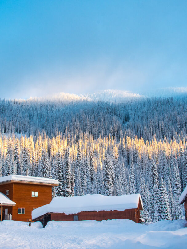 Valhalla Mountain Touring backcountry skiing