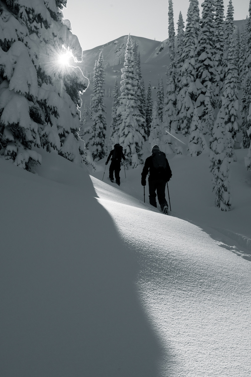 Valhalla Mountain Touring backcountry skiing