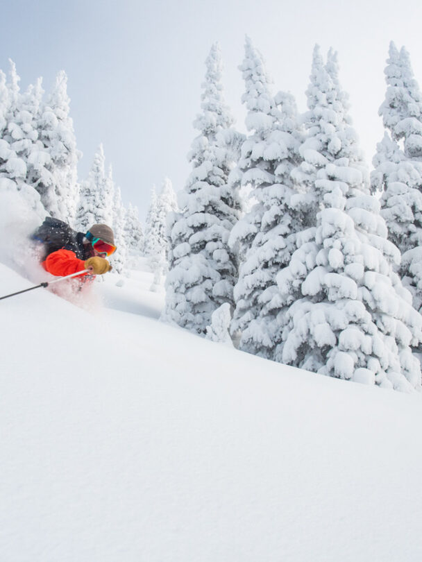 Valhalla Mountain Touring backcountry skiing