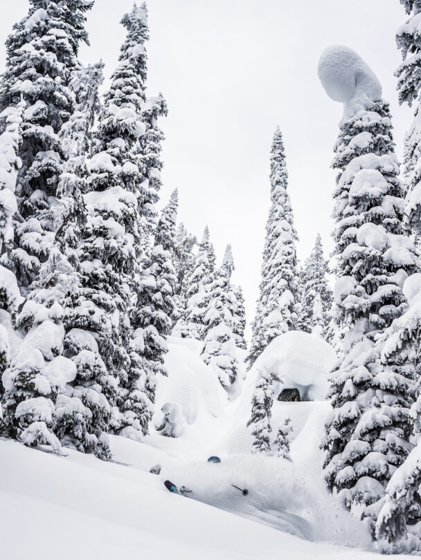 Valhalla Mountain Touring backcountry skiing