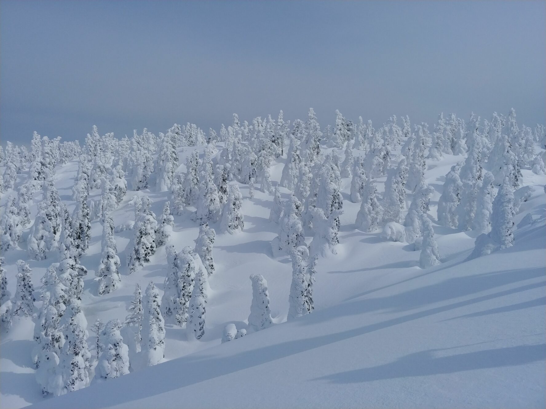 hakkoda-backcountry-skiing