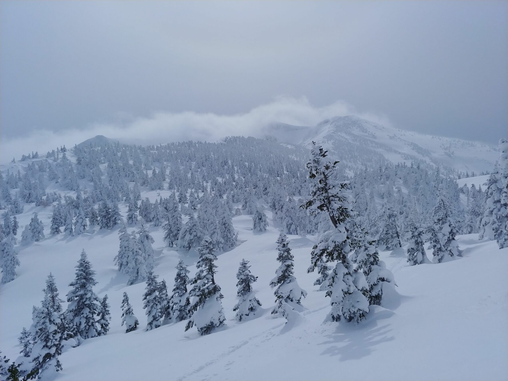 hakkoda-backcountry-skiing