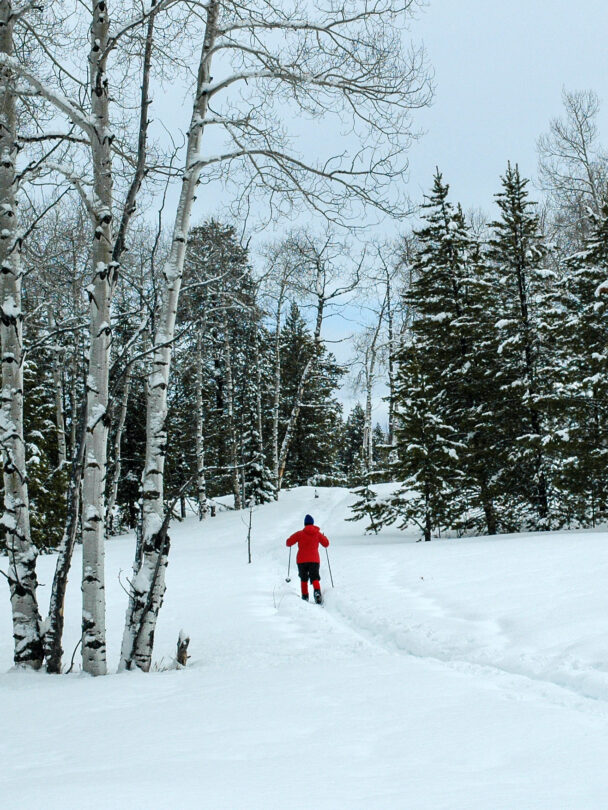 Grand Teton National Park Backcountry Skiing