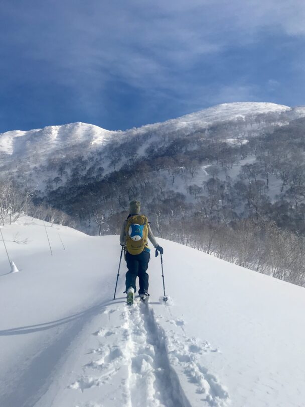 Niseko Backcountry Skiing