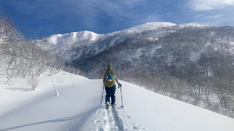 Niseko Backcountry Skiing