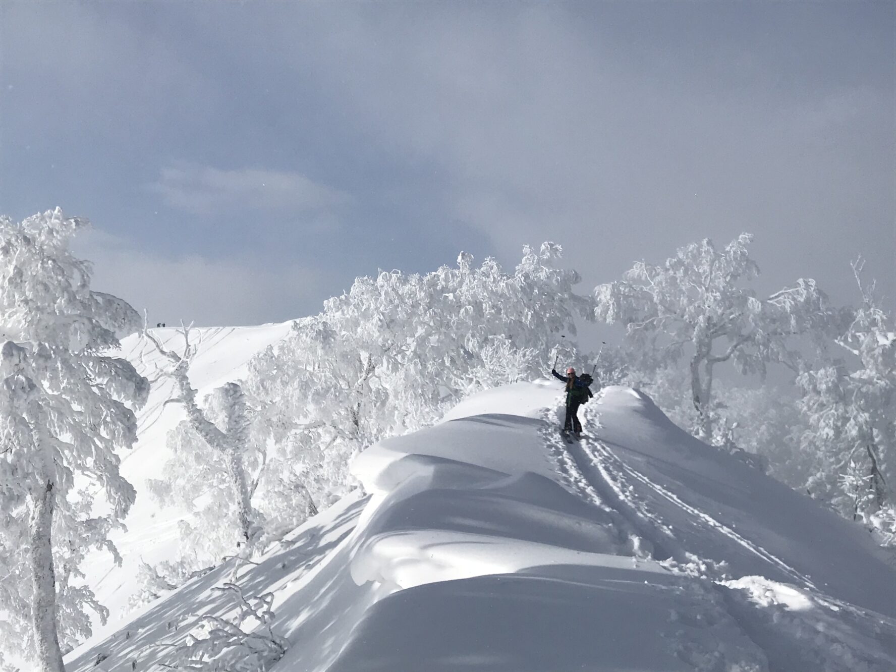 Niseko Backcountry Skiing