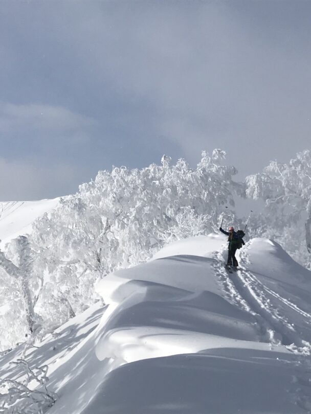 Niseko Backcountry Skiing