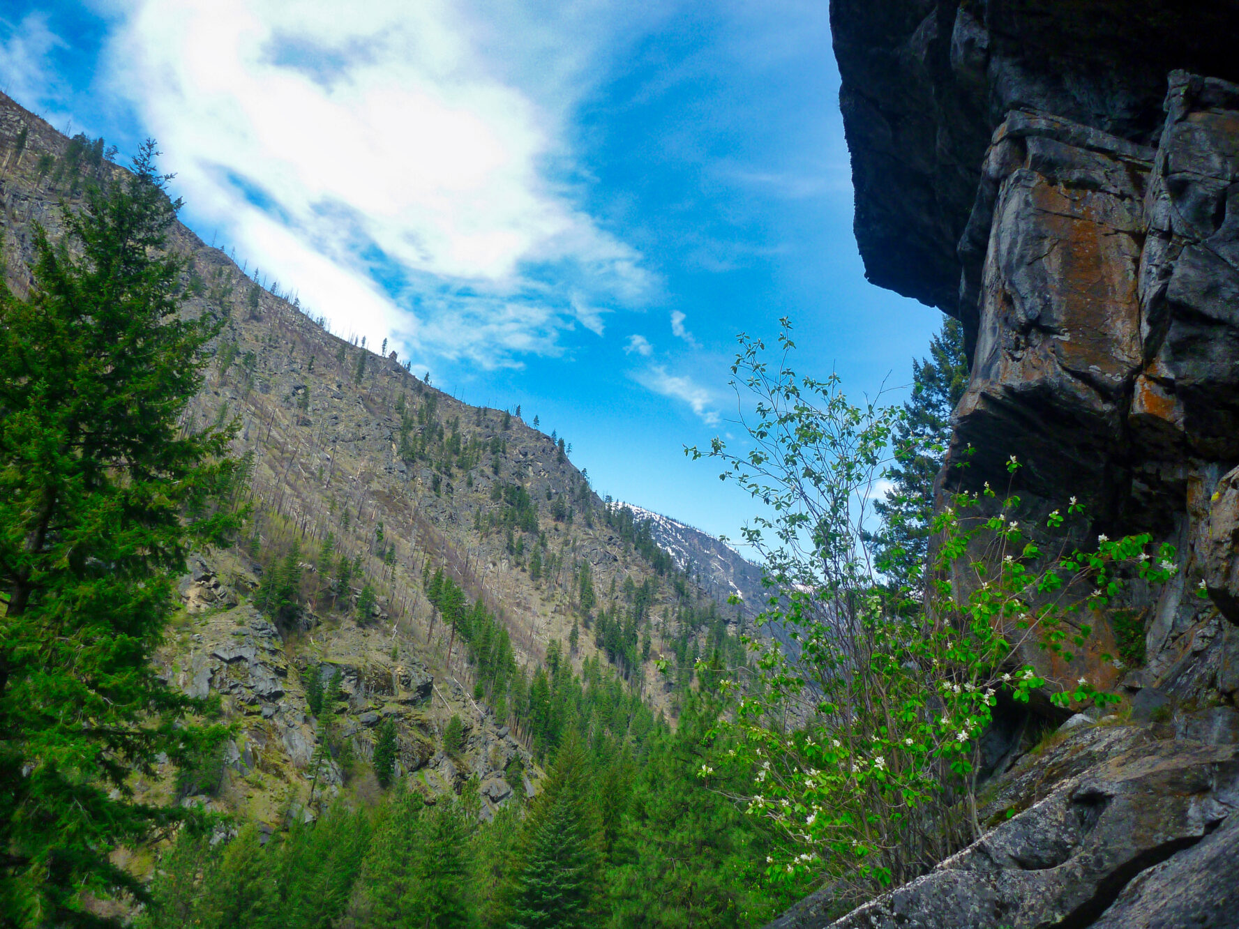 Washington rock climbing
