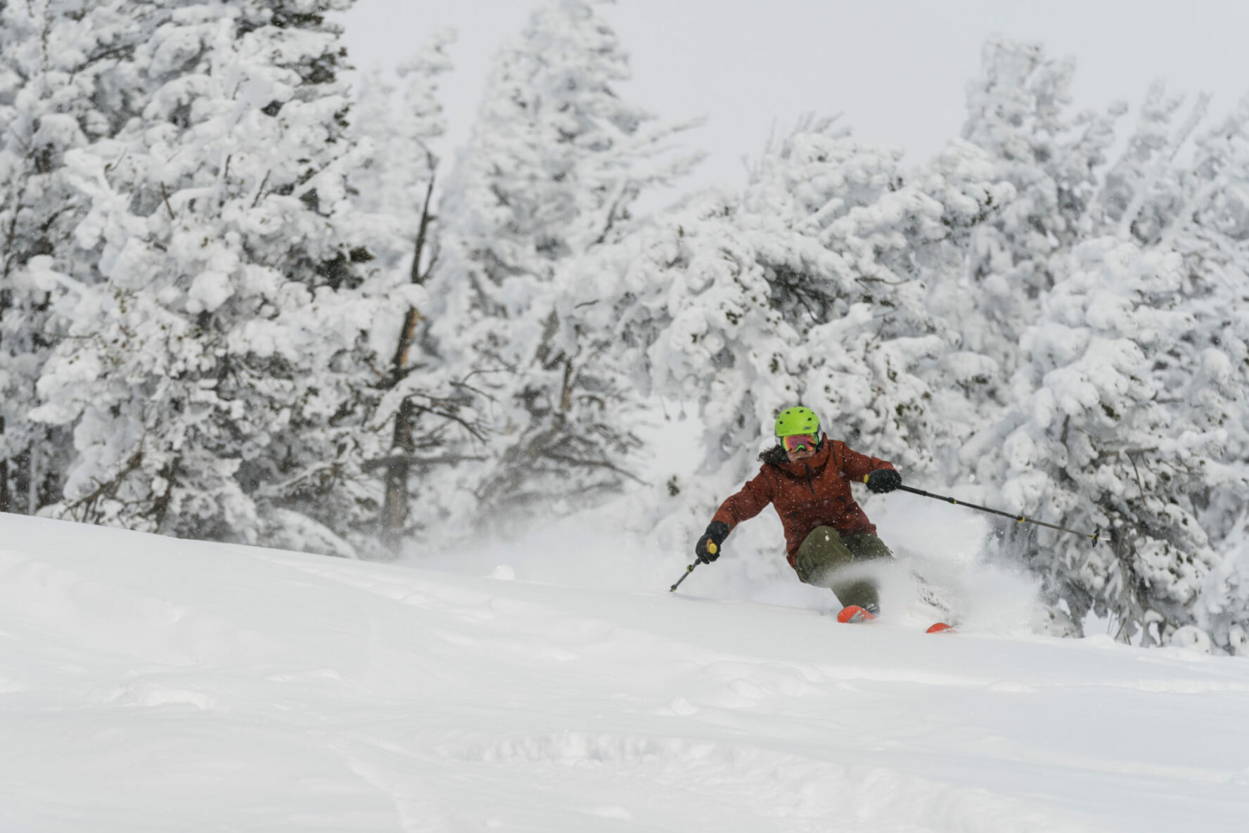 A skier among the trees in Grand Teton National Park